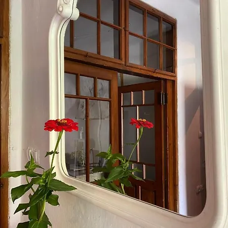 Hisa Velikanka_giantess Летний дом Kostel